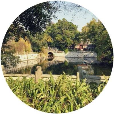 一起来冒险果盘游戏下载